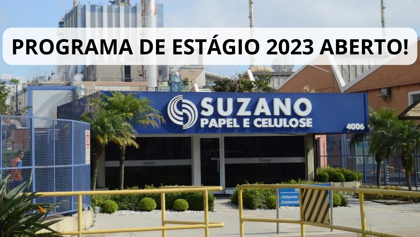 Suzano, Estágio, Vagas