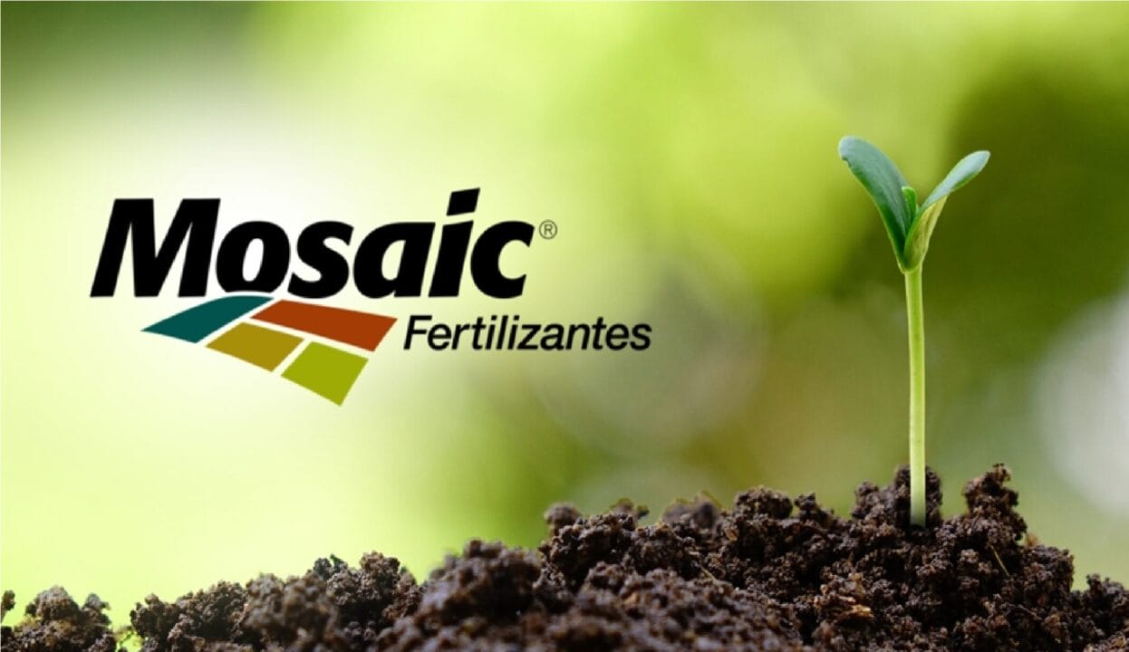investimento, fertilizantes, nordeste
