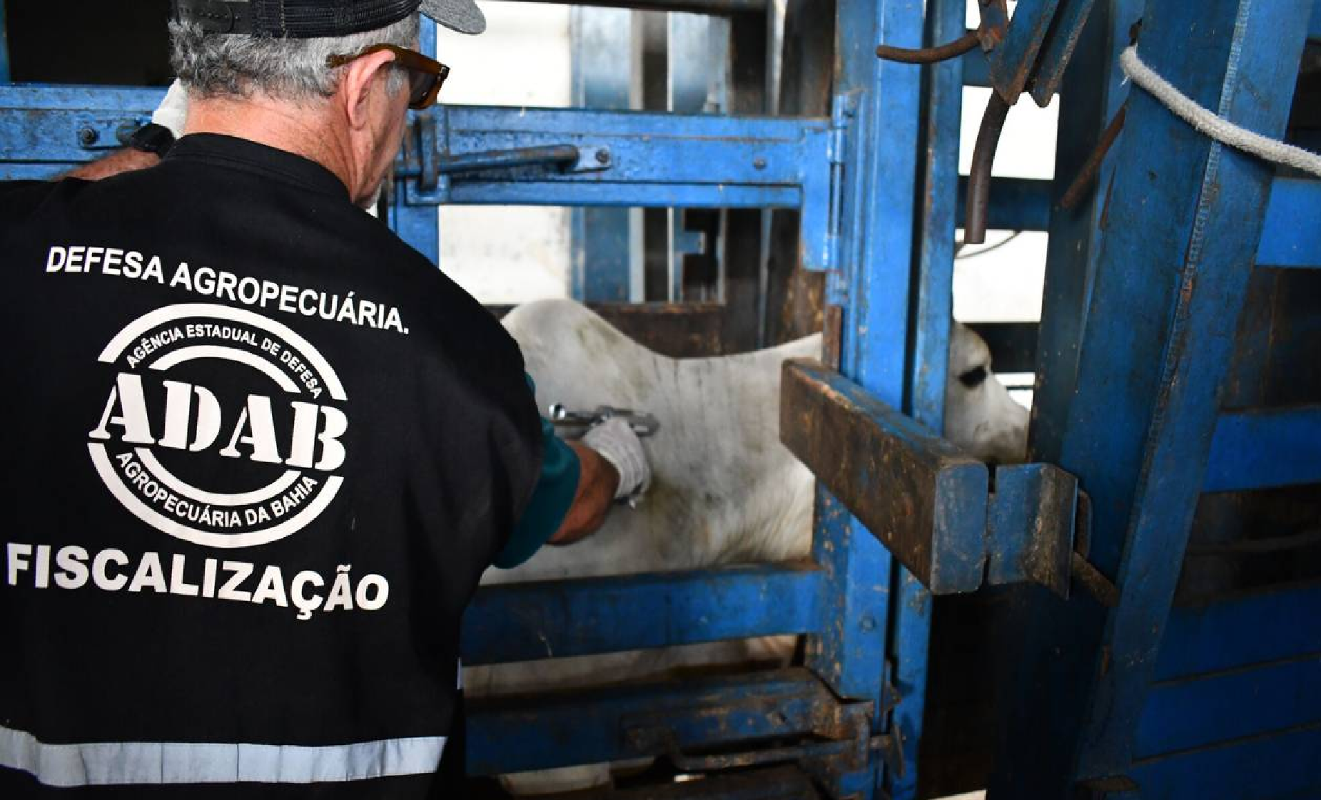 concurso, vagas, bahia