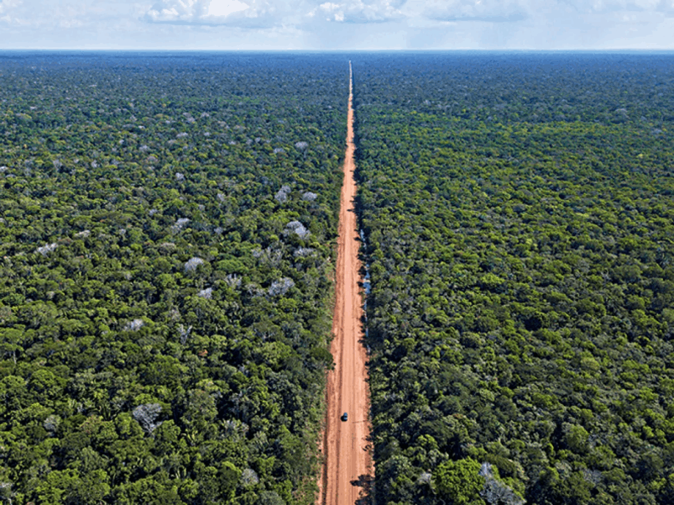 BR-319, a rodovia da Amazônia esquecida, enfrenta obstáculos ambientais e políticos que impedem sua pavimentação e desenvolvimento sustentável.