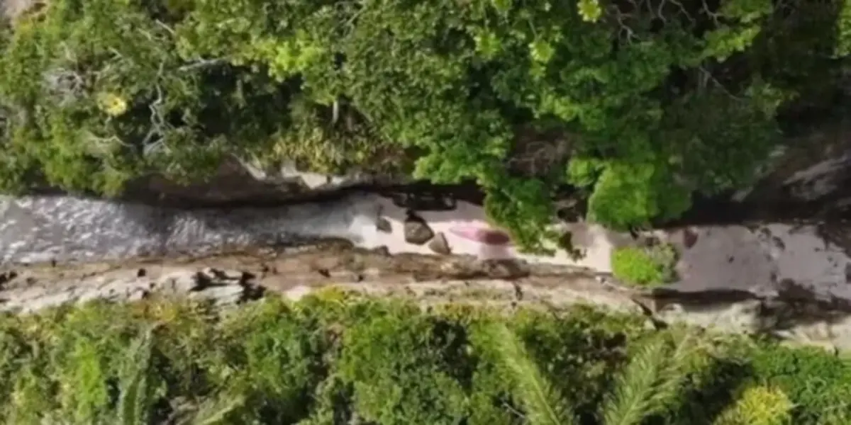 Ilha, Praia, Guinness Book