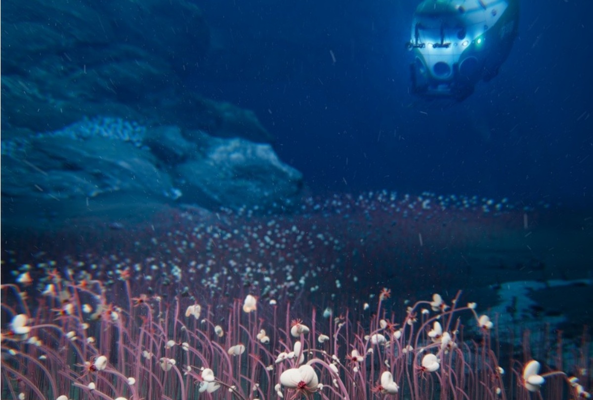 Cientistas chineses encontraram vida em fossas oceânicas a 9.400 metros de profundidade, com ecossistemas sustentados por metano e sem qualquer luz solar.