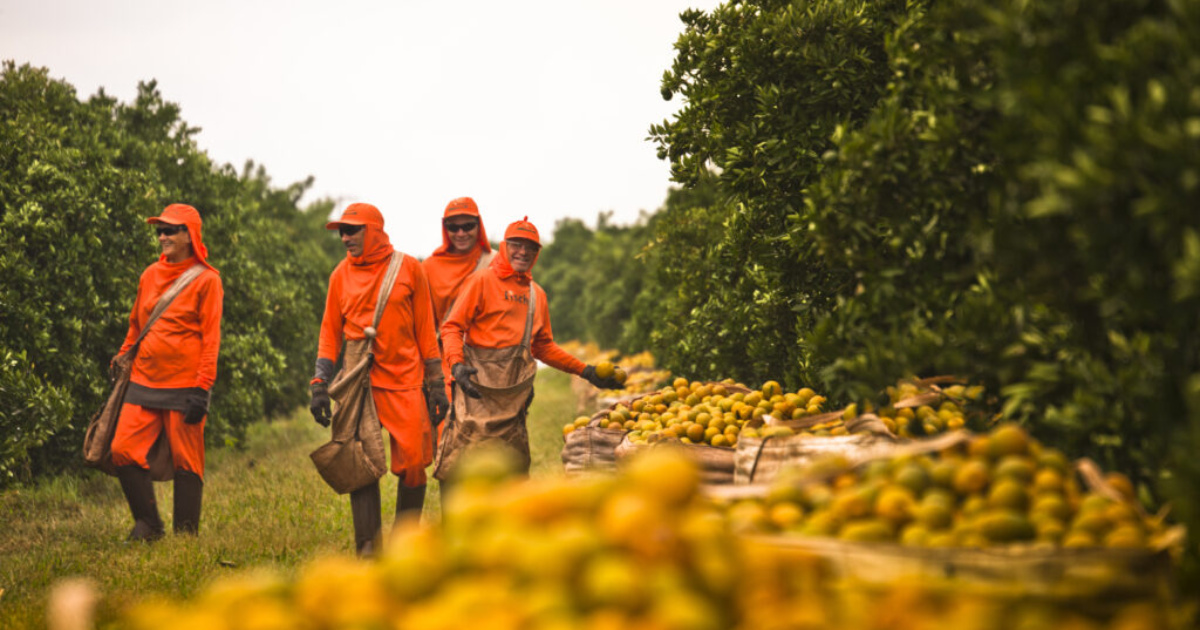 A Citrosuco opera em Matão (SP) a maior planta de suco de laranja do mundo, com terminais globais e frota marítima própria.(Imagem: produzindocerto)