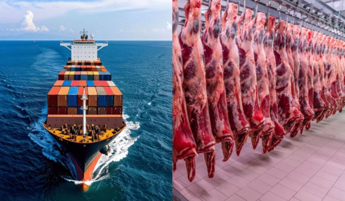 (Imagem: MAPA/Divulgação/Rádio Itatiaia)