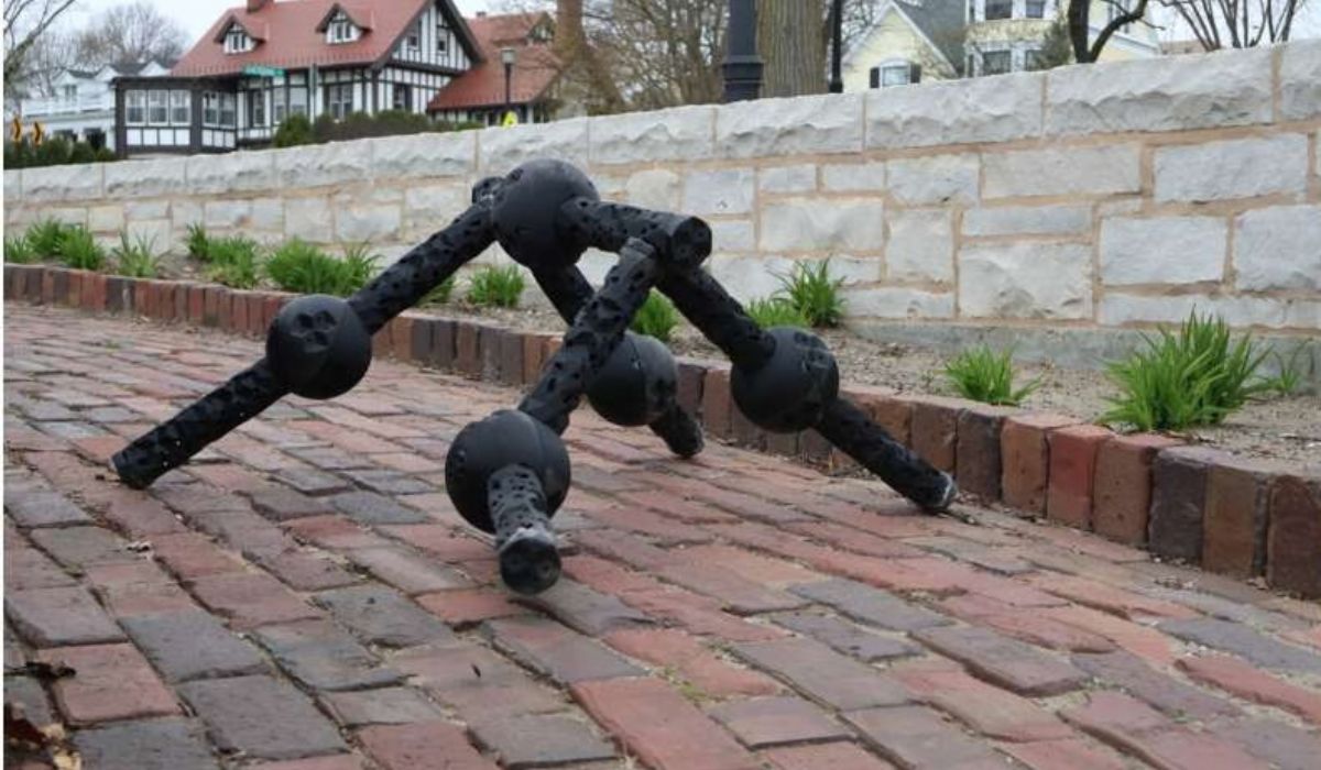 (Imagem: Sam Kriegman/Northwestern University)